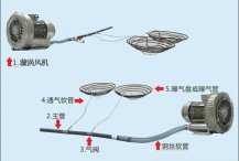  新型鱼塘微孔增氧设备可减少病害的发生